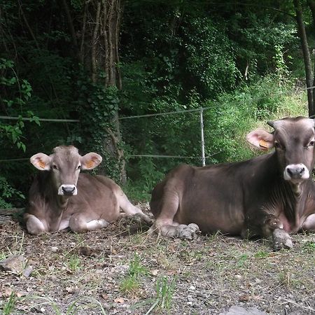 Willa Agriturismo Le Giare Genua Zewnętrze zdjęcie