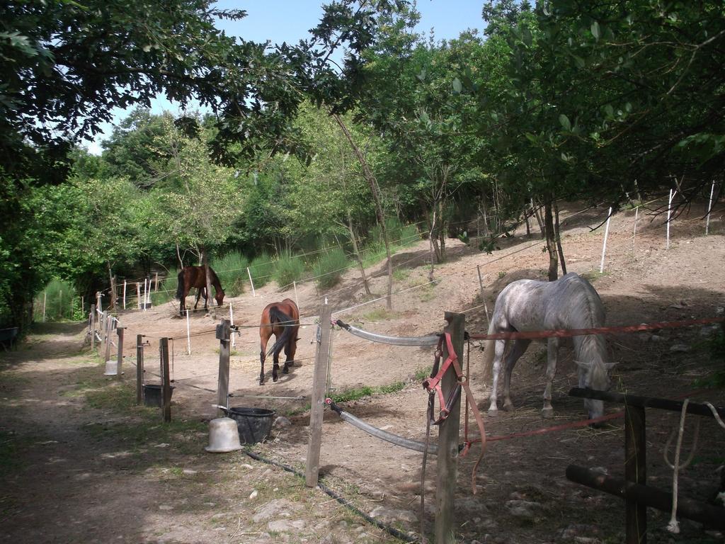 Willa Agriturismo Le Giare Genua Zewnętrze zdjęcie