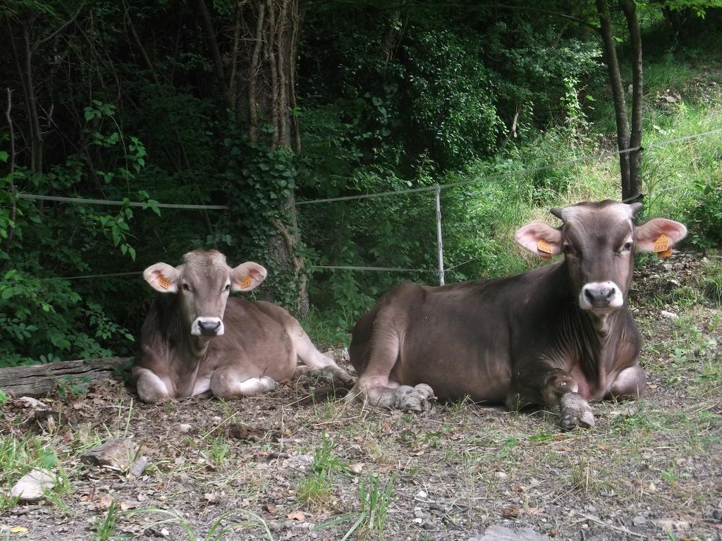 Willa Agriturismo Le Giare Genua Zewnętrze zdjęcie