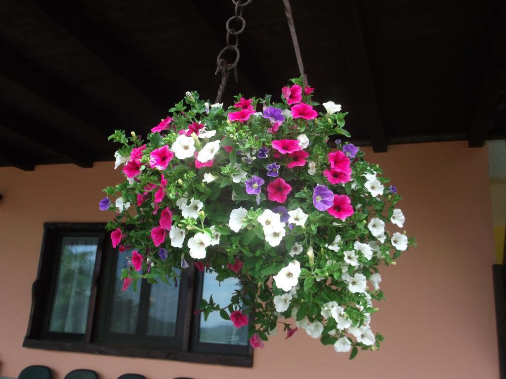 Agriturismo Le Giare Genua Zewnętrze zdjęcie