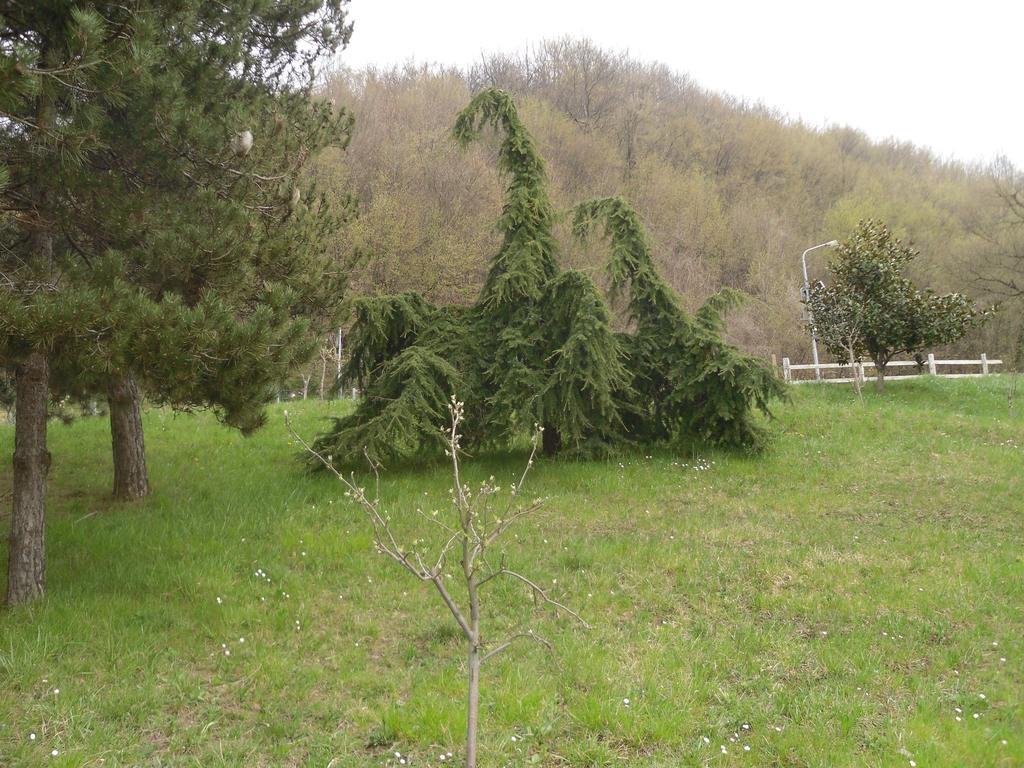 Agriturismo Le Giare Genua Zewnętrze zdjęcie